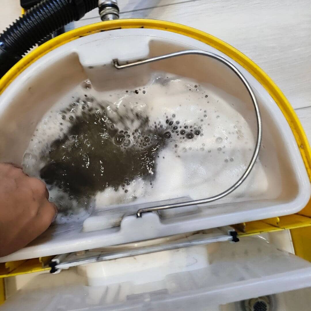 沙發塵蟎清除